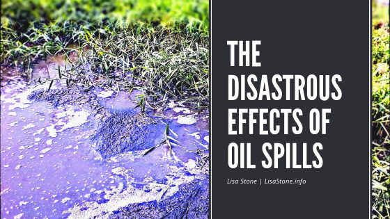 The Disastrous Effects of Oil Spills